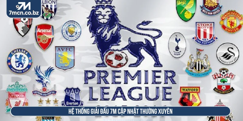 Hệ thống giải đấu 7M cập nhật thường xuyên 